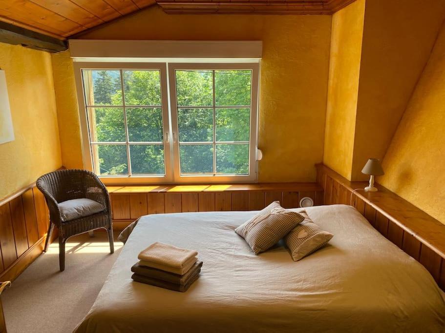 Ferme De Chenezeau - 15 Personnes , 7 Chambres جوراردُميه المظهر الخارجي الصورة